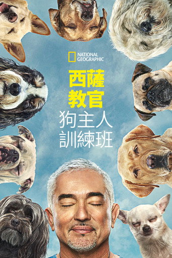 金牌训狗师：狗主人训练班海报