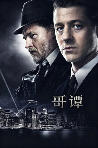 哥谭海报