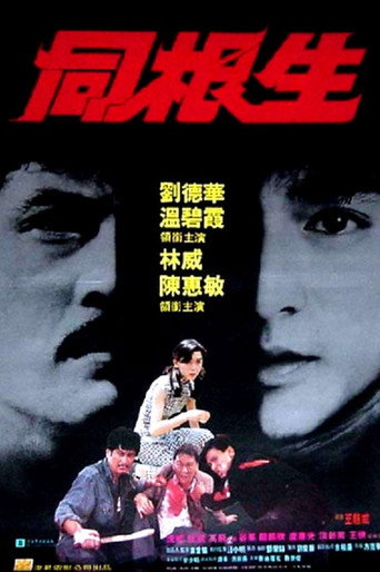同根生海报