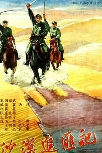 沙漠追匪记海报