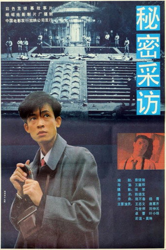 秘密采访海报