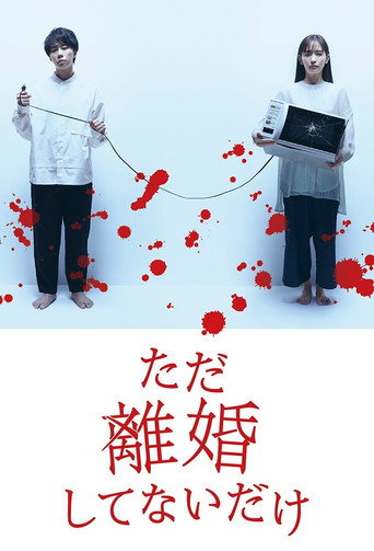 只是没离婚而已海报