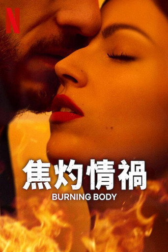 爱恨焚身海报