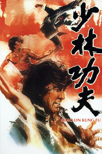 少林功夫海报