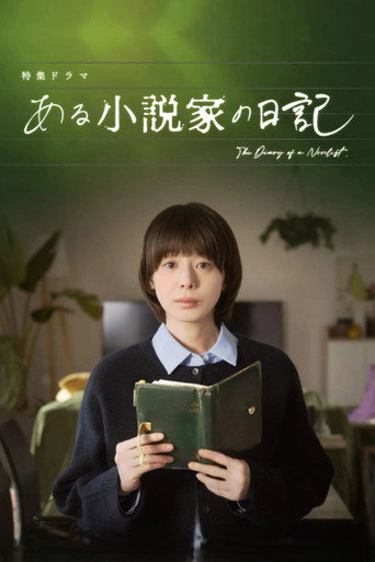 某位小说家的日记海报