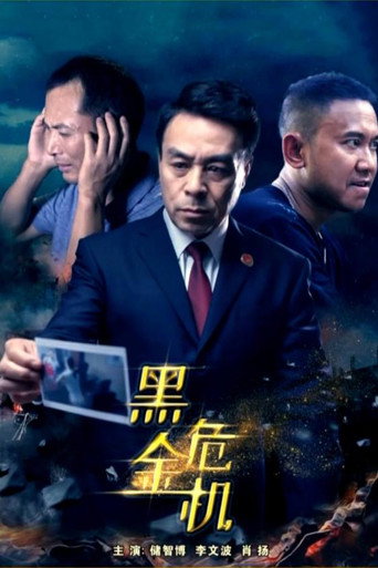 黑金危机海报
