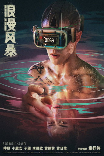 浪漫风暴海报