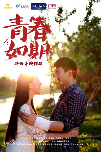 青春如期海报