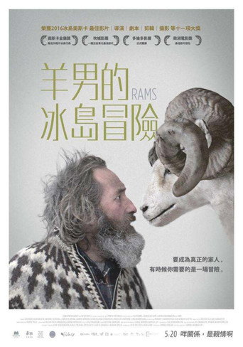 公羊海报