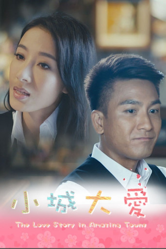小城大爱海报