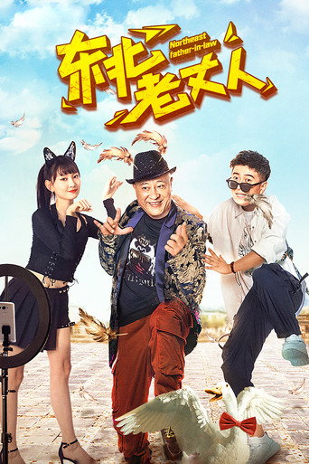 东北老丈人海报