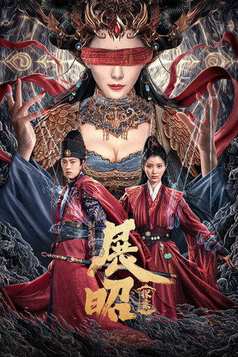 展昭·探案海报