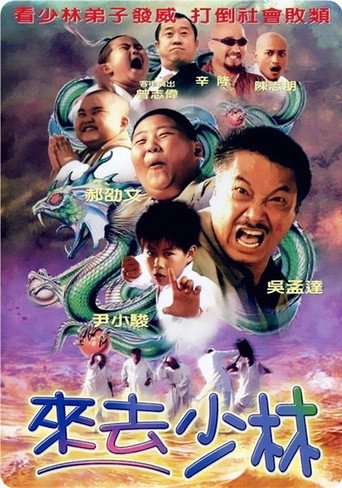 来去少林海报