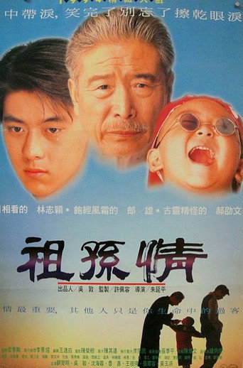 祖孙情海报