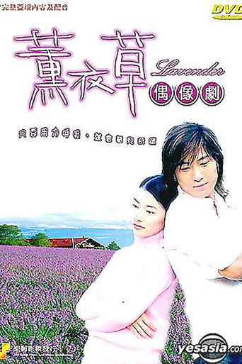 薰衣草海报