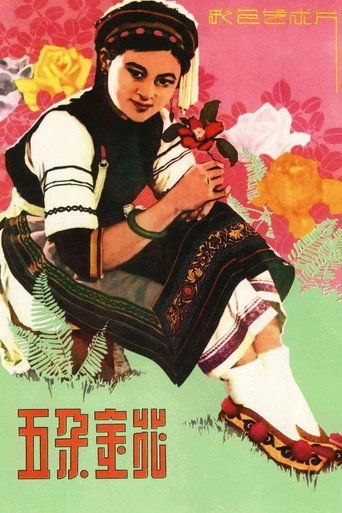 五朵金花海报