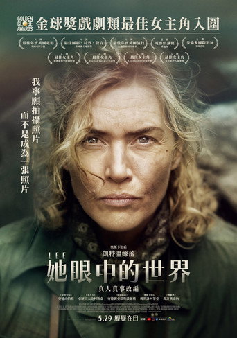 李海报