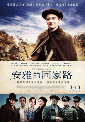 等待安雅海报