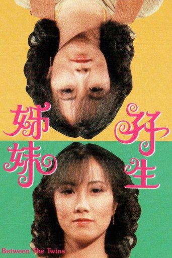 双生姐妹海报
