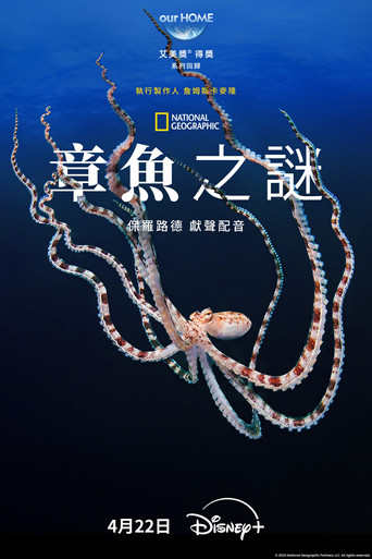 章鱼的秘密海报