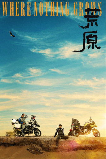 荒原海报
