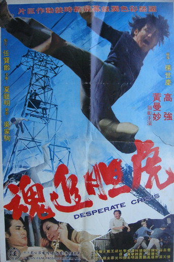 虎追魂海报