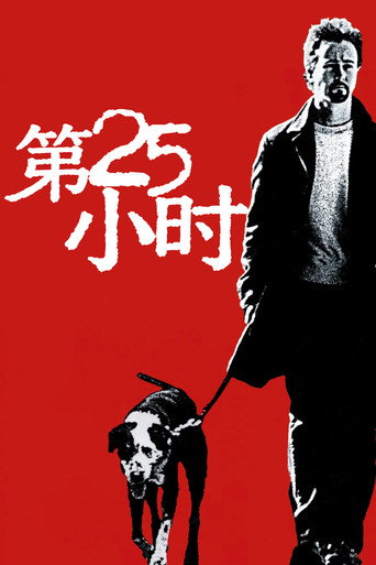 第25小时海报
