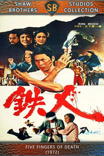 天下第一拳海报