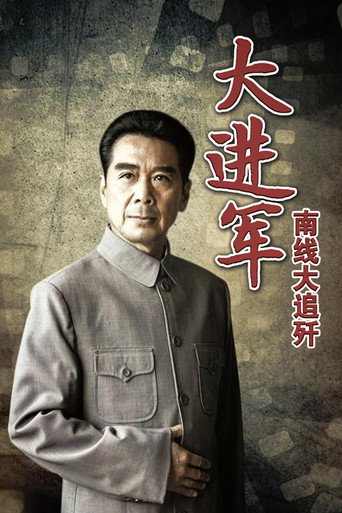 大进军2：南线大追歼海报