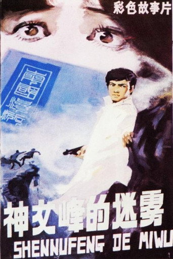 神女峰的迷雾海报