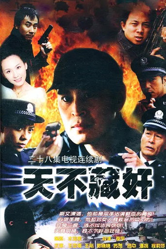 天不藏奸海报