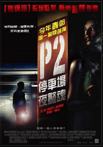 车库惊魂海报