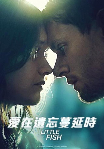 小鱼海报