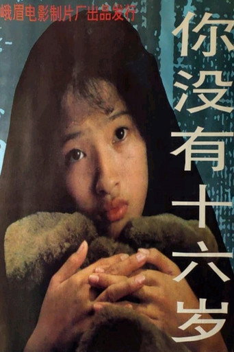 你没有十六岁海报