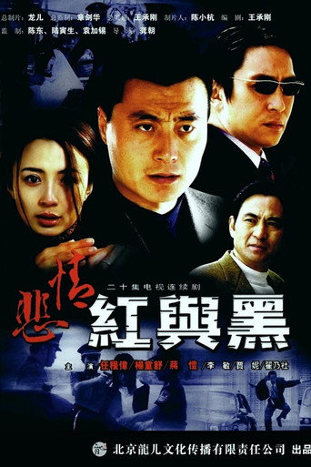 悲情红与黑海报