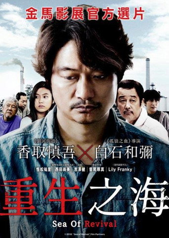 待风平浪静海报