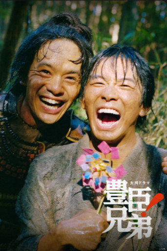丰臣兄弟！海报