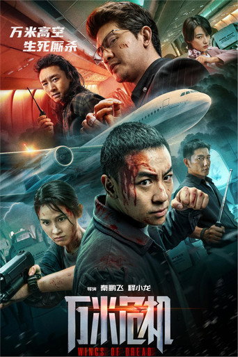 万米危机海报