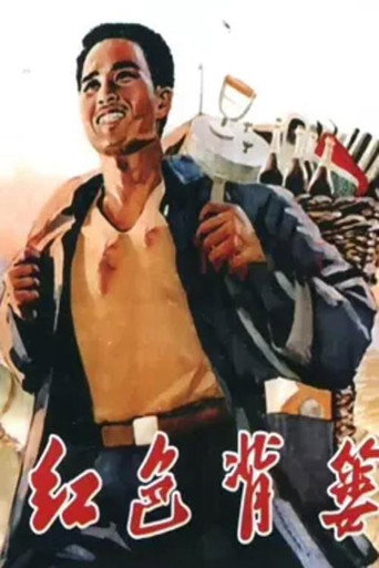 红色背篓海报