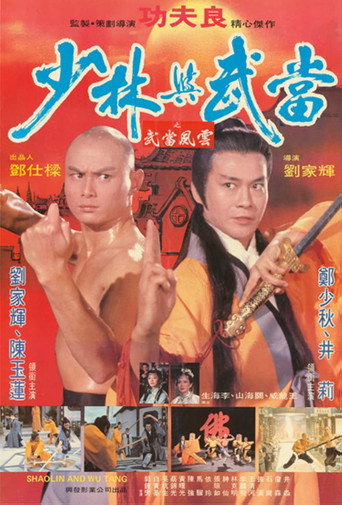 少林与武当海报