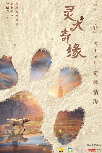 灵犬奇缘海报