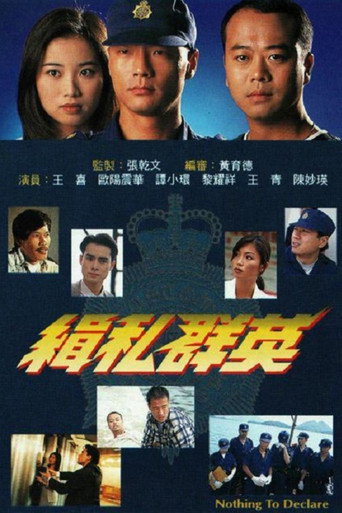 缉私群英海报