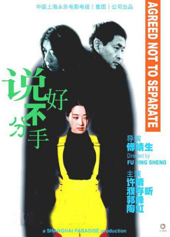 说好不分手海报
