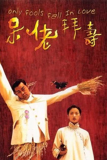 呆佬拜寿海报