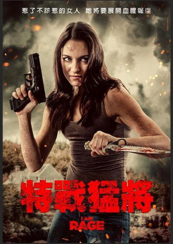 我是狂怒海报