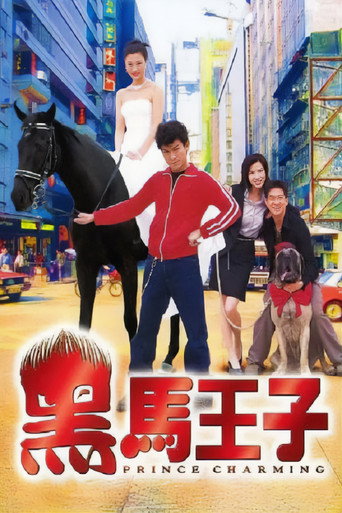 黑马王子海报
