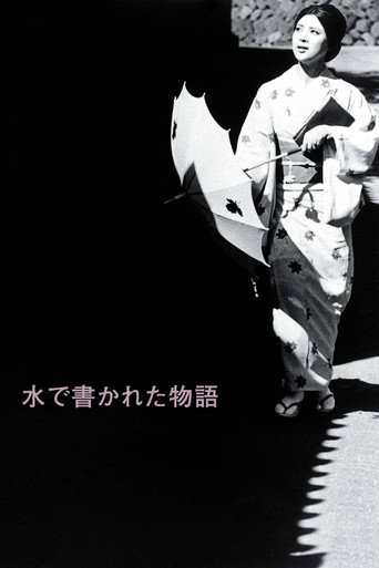 水书物语海报