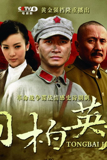 桐柏英雄海报