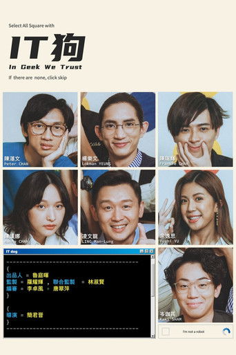 IT狗海报