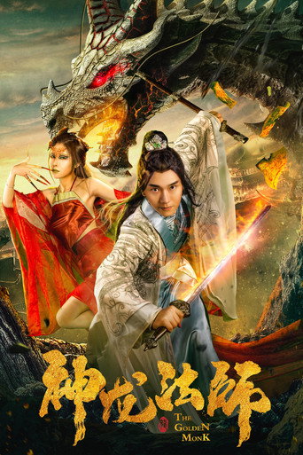神龙法师海报